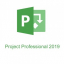 Microsoft Project Professional 2019