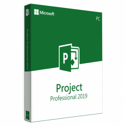 Microsoft Project Professional 2019