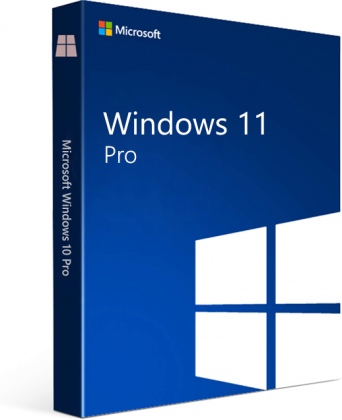 Microsoft Windows 11 Pro