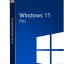 Microsoft Windows 11 Pro