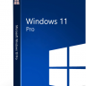Microsoft Windows 11 Pro
